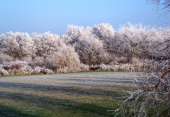 Ostseebad Dierhagen im Winter